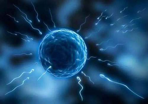 2022三代試管嬰兒技術(shù)多少錢