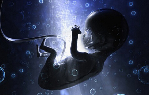 2022如果做試管嬰兒大約在多少錢左右