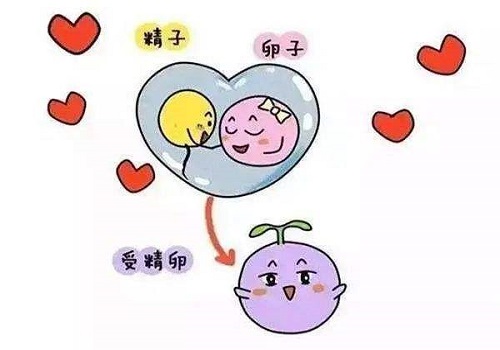 2022年三代試管嬰兒技術(shù)有什么弊端？