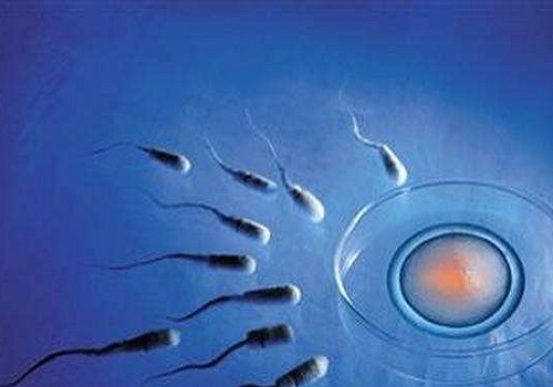 2021杰特寧三代試管費(fèi)用需要多少錢？