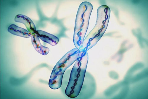 2018年試管嬰兒費(fèi)用要多少？