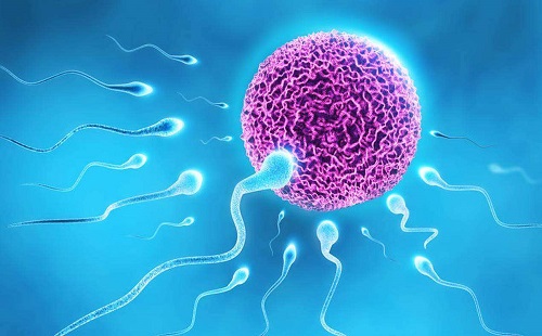 2022年北京試管嬰兒最好的醫(yī)院需要多少錢？_2