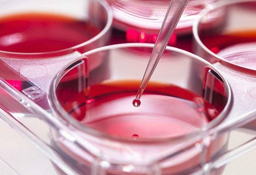 2021安徽試管嬰兒補(bǔ)助政策有沒有？