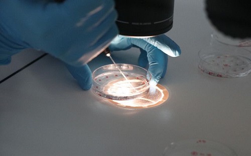 2022年沒有結(jié)婚證私立醫(yī)院做試管可行嗎？