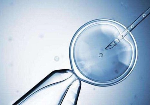 2022哈爾濱第三代試管嬰兒成功率多少？