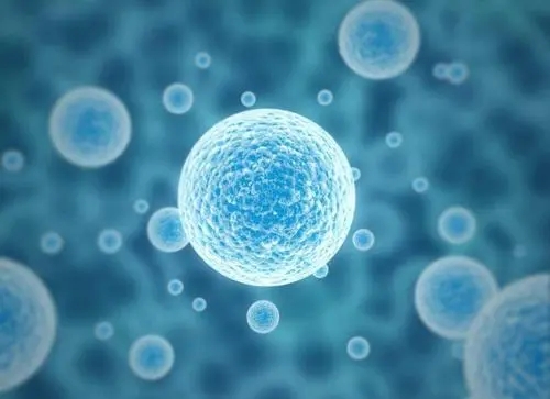 2022年第三代試管嬰兒醫(yī)院排行榜的詳細(xì)情況