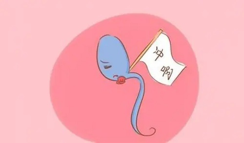 2021試管嬰兒成功率，國(guó)內(nèi)的多少？