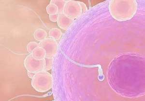 弱精可以做泰國試管嬰兒嗎