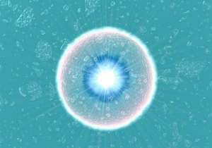 去泰國做試管嬰兒選擇中介如何防止被騙