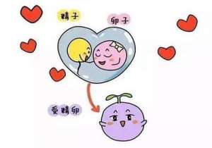 如何選擇試管嬰兒醫(yī)院