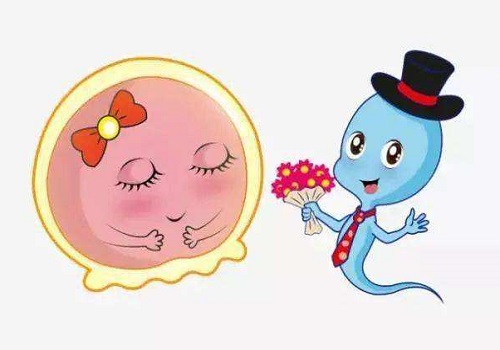 生殖中心醫(yī)院做試管嬰兒怎么樣