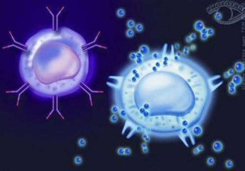 試管嬰兒多少錢能做呢