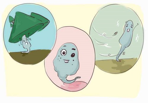 2022試管嬰兒做一次多少錢