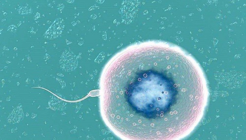 試管嬰兒費(fèi)用需要多少錢呢