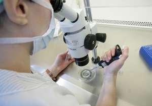 試管嬰兒費用是多少錢