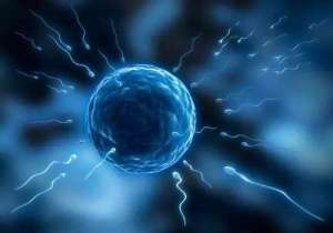 做試管多少錢(qián)夠