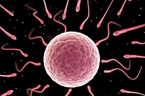 國(guó)內(nèi)做第三代試管費(fèi)用要多少錢