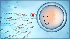 赴美做試管嬰兒去哪家醫(yī)院好