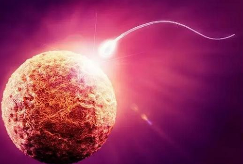 第三代美國試管嬰兒技術(shù)多少錢