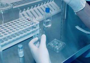 俄羅斯試管費(fèi)用是多少