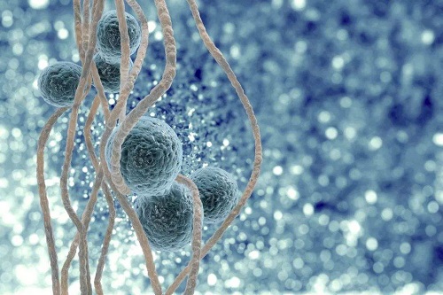 俄羅斯試管嬰兒費用