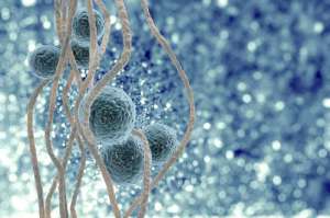 俄羅斯試管嬰兒費(fèi)用