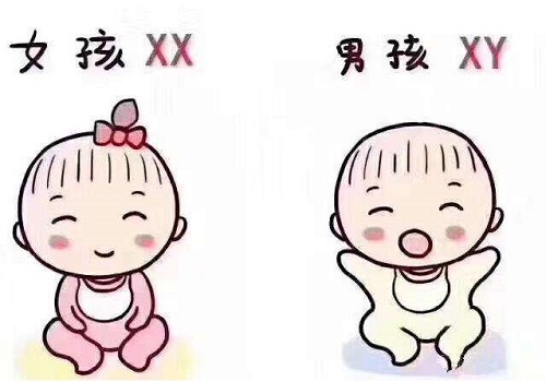 試管嬰兒能確定嗎?