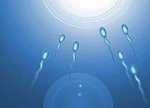 泰國(guó)試管技術(shù)怎么樣?