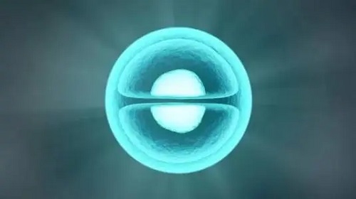 泰國試管嬰兒選擇原理