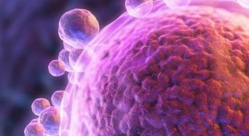 去泰國(guó)做試管嬰兒的優(yōu)勢(shì)有哪些