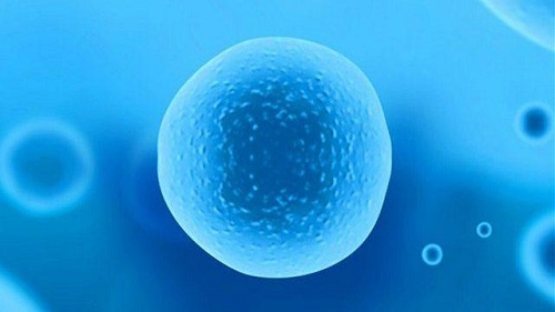 做俄羅斯試管嬰兒費(fèi)用多少錢(qián)