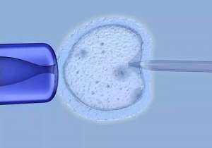 試管嬰兒中介的費(fèi)用是多少