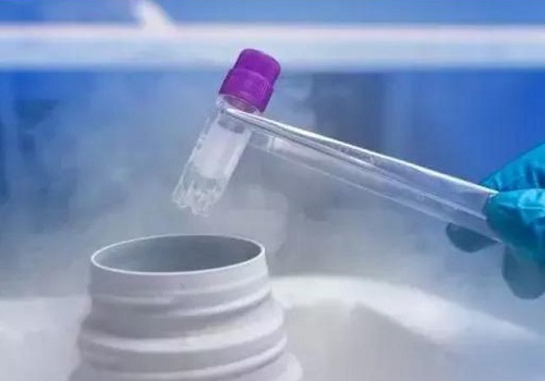 試管嬰兒費用有多少