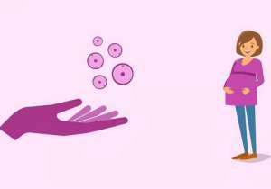 美國試管嬰兒的報(bào)價(jià)多少