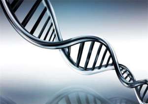 做泰國試管嬰兒的費(fèi)用詳細(xì)