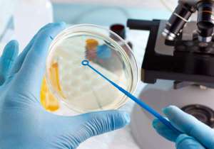 試管可以決定胎兒?jiǎn)?>
                        <div   id=