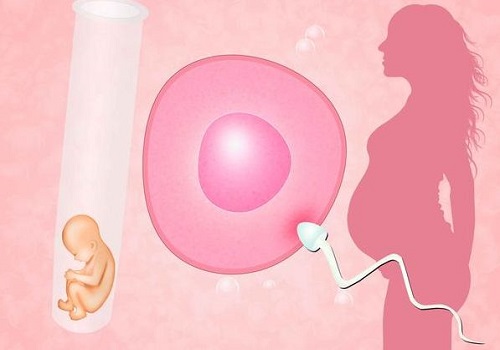 美國(guó)試管嬰兒費(fèi)用的主要組成部分