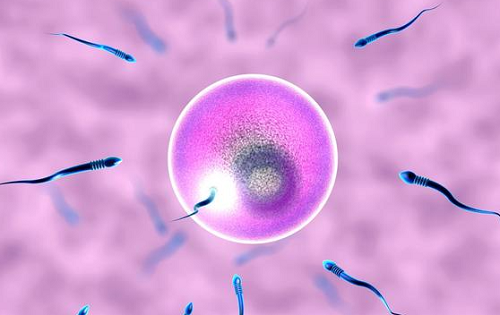 泰國試管嬰兒醫(yī)院選擇標準