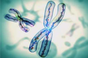 泰國(guó)做試管嬰兒優(yōu)勢(shì)有哪些