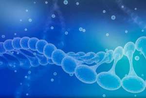 試管嬰兒花費在哪里