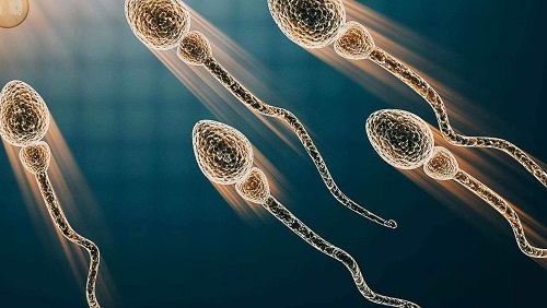 泰國(guó)做試管嬰兒需要準(zhǔn)備多少錢(qián)