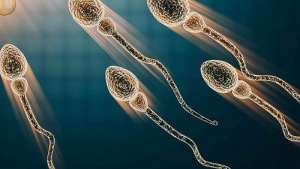 泰國做試管嬰兒需要準(zhǔn)備多少錢