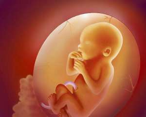 俄羅斯做試管嬰兒的費(fèi)用要多少