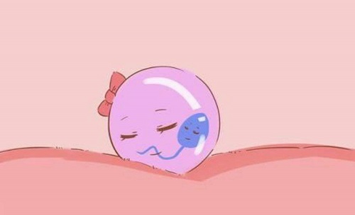 第三代試管嬰兒的優(yōu)勢是什么