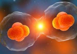 試管嬰兒的具體流程都有哪些