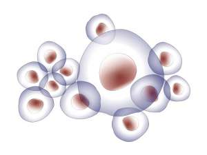 泰國(guó)試管嬰兒報(bào)價(jià)多少費(fèi)用